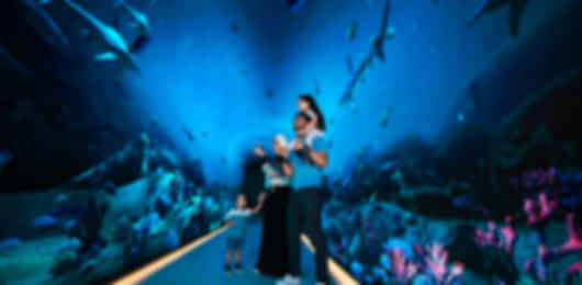 Dubai: The Grand Premiere