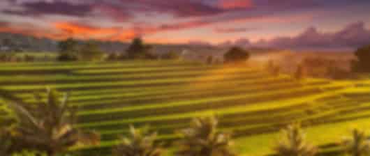 Bali Family Retreat: Nature, Culture & Fun