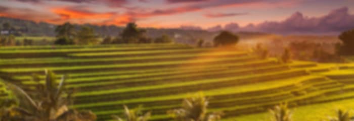 Bali Couples Retreat