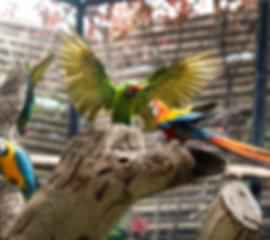 Bali Family Retreat: Nature, Culture & Fun