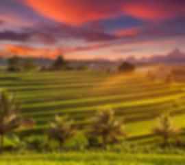 Island of Wonder: Bali’s Best for Families