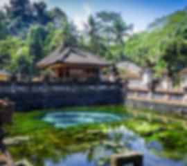 Island of Wonder: Bali’s Best for Families