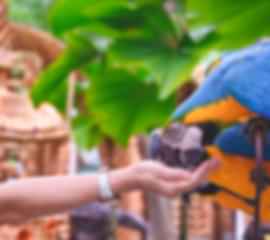 Island of Wonder: Bali’s Best for Families