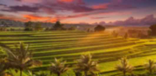 Bali Family Holiday Sea Stories