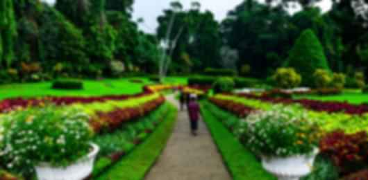 Sri Lanka's Heart & Coast: A 7-Night Journey through Kandy, Nuwara Eliya, Bentota & Colombo