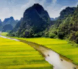 A 5-Day Vietnam Adventure