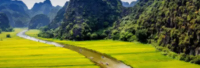A 5-Day Vietnam Adventure
