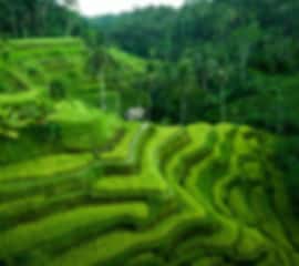 Bali Paradise: A Romantic Journey Through Culture & Nature