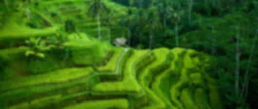 Bali Paradise: A Romantic Journey Through Culture & Nature