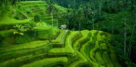 Bali Paradise: A Romantic Journey Through Culture & Nature