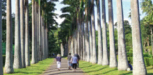 Discover Sri Lanka