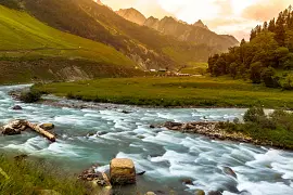 Paradise Srinagar
