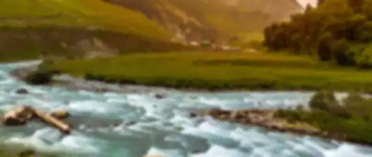 Paradise Srinagar