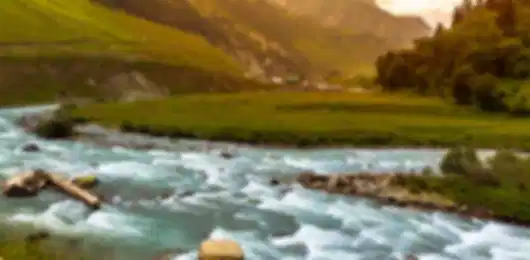 Paradise Srinagar