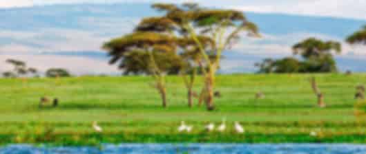 Kenya Discovery Days