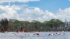 The 11 Day Ultimate Safari Circuit – Kenya in 9 Days