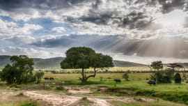 Kenya Wilderness - 11 Nights