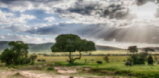 11 Day Kenya Wilderness