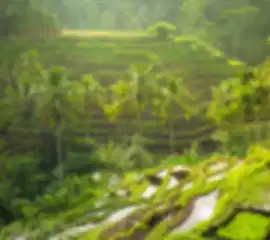 Blockbuster Bali: 4-Night Epic Holiday