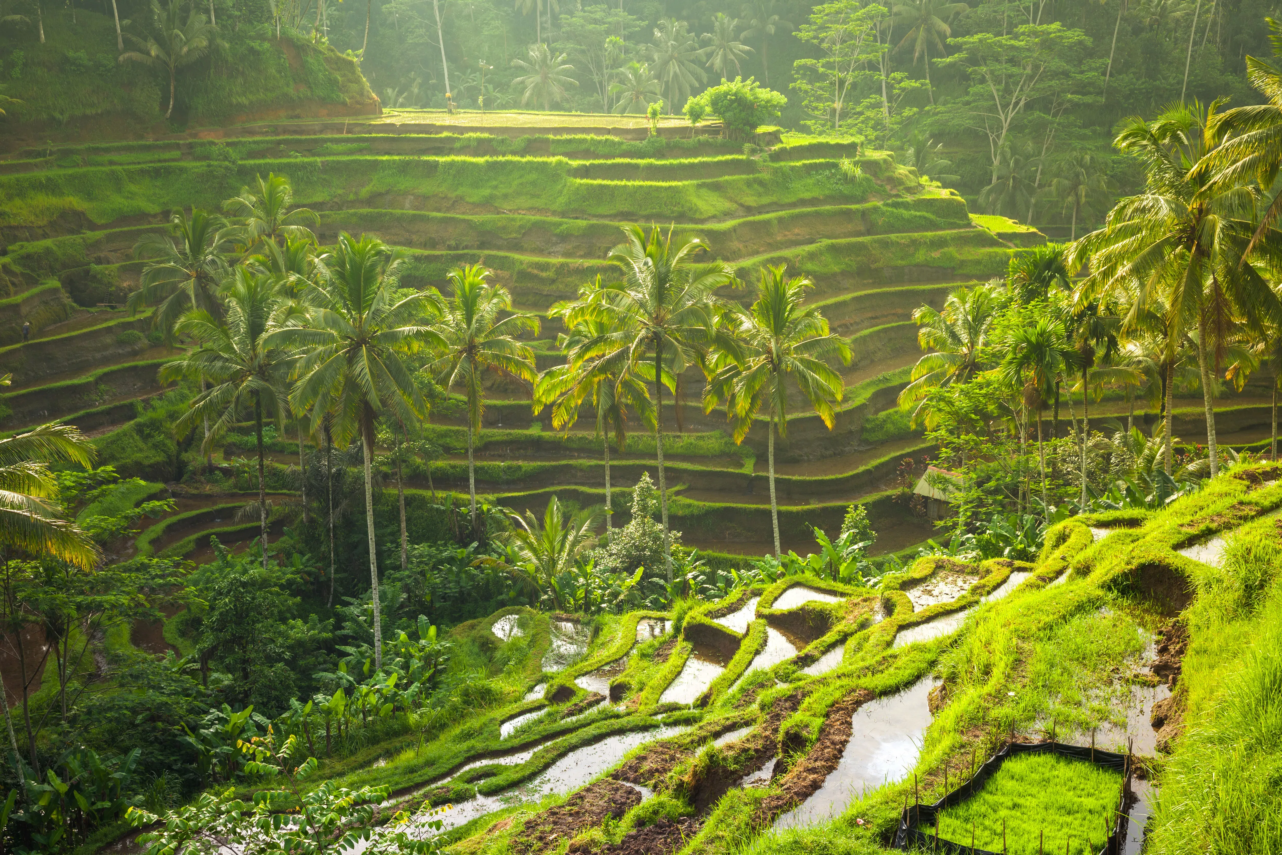 Romantic Bali Sunset Escape – 4 Nights