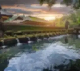 The Bali Blend: Soul, Style, and Sunset - 4N