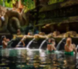 Bali Complete Story: Wellness & Wonders - 6N