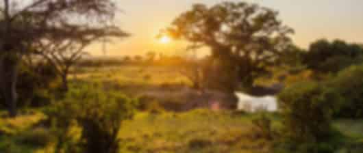 Ultimate 7 day Kenya and Tanzania Circuit