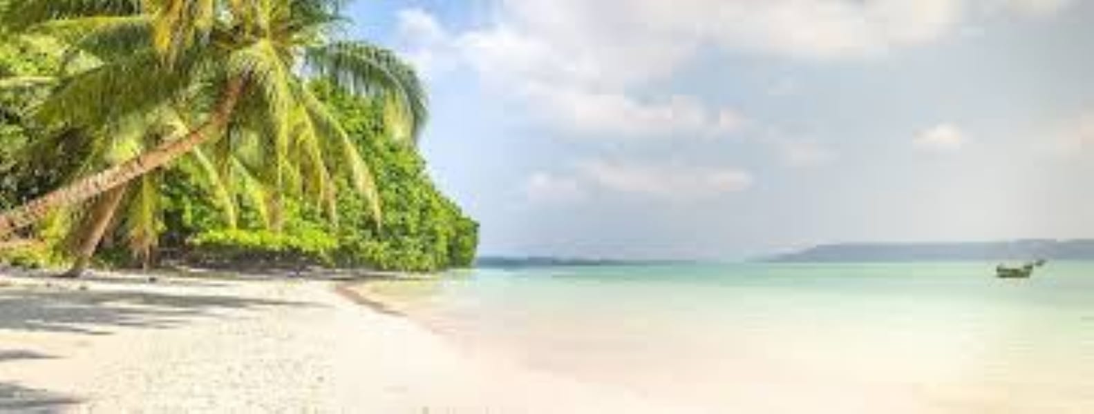 BannerImage