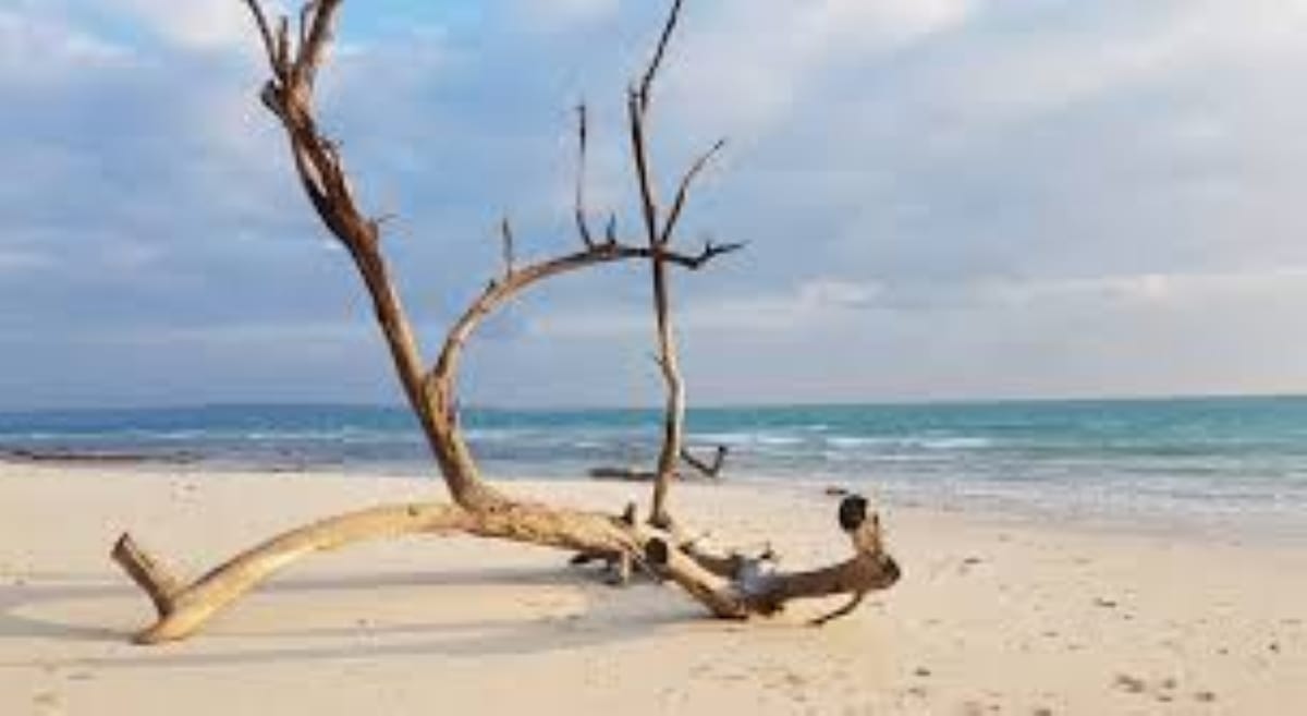 The Andaman Essential: Port Blair, Havelock & Neil Island