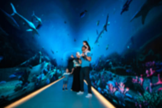 Dubai 101: The Perfect First Trip