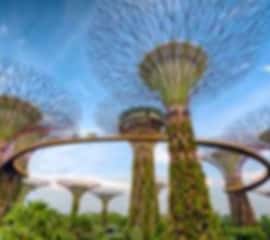 3N Singapore Essential Highlights
