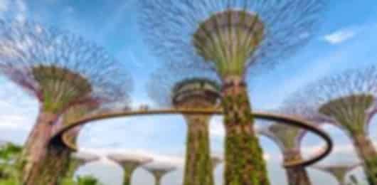 3N Singapore Essential Highlights