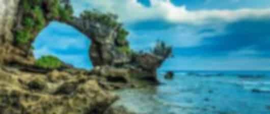 Into the Wild: Baratang Caves & Jungle Expedition