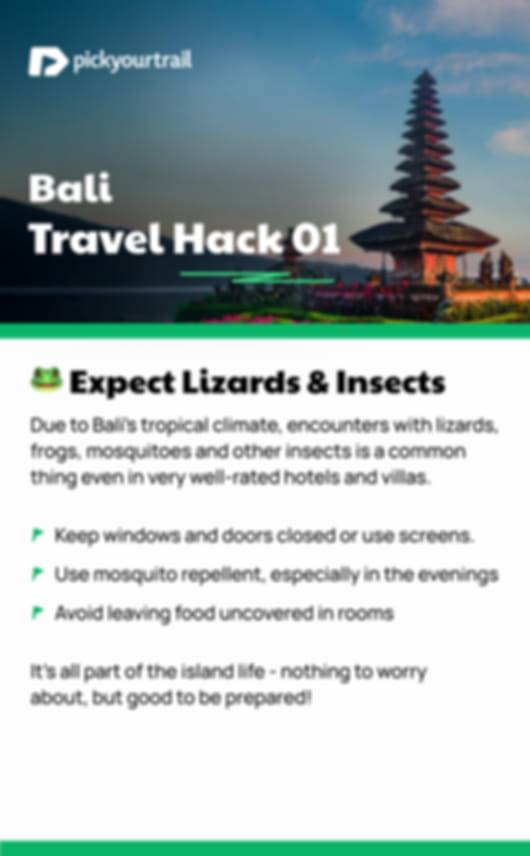 6 nights bali - demo