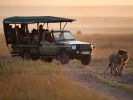 Savannah Stories: Kenya Safari