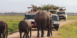 Kenya Wilderness & Rift Valley Escape