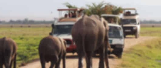 Kenya Wilderness & Rift Valley Escape
