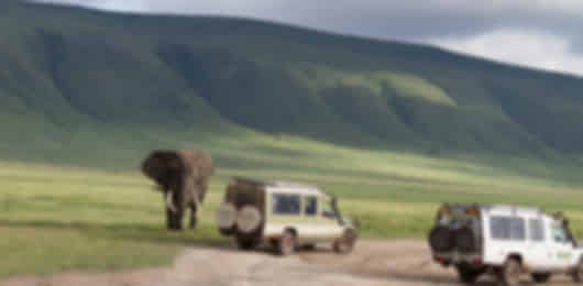 ADVENTURE OF NORTHERN TANZANIA