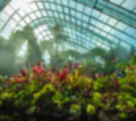 5N Ultimate Singapore & Sentosa City Escape