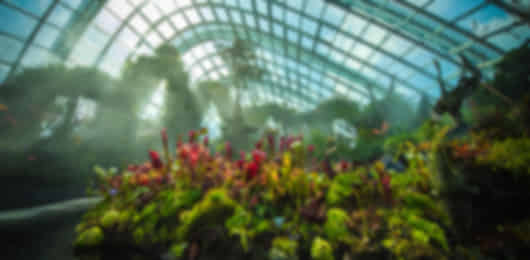 5N Singapore Luxury Collection