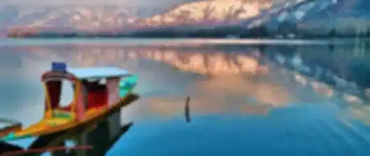 Dal Lake Dream