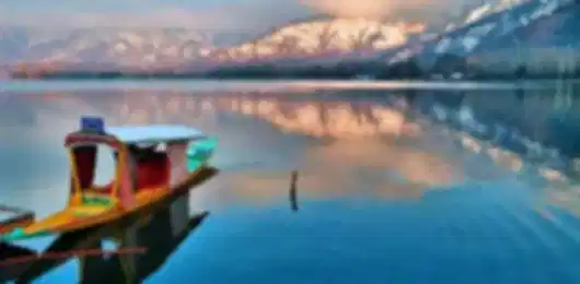 Dal Lake Dream