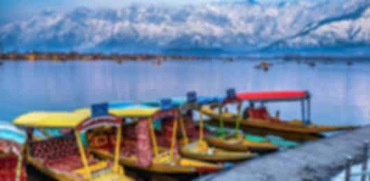 The Snow Luxe Trail