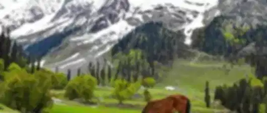The Gulmarg–Pahalgam Circuit