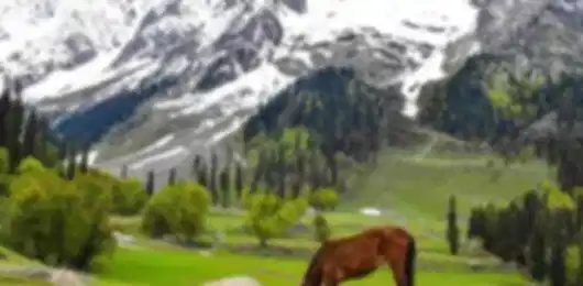 The Gulmarg–Pahalgam Circuit