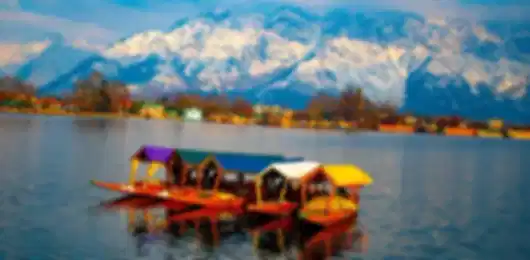 Srinagar Retreat with Houseboat