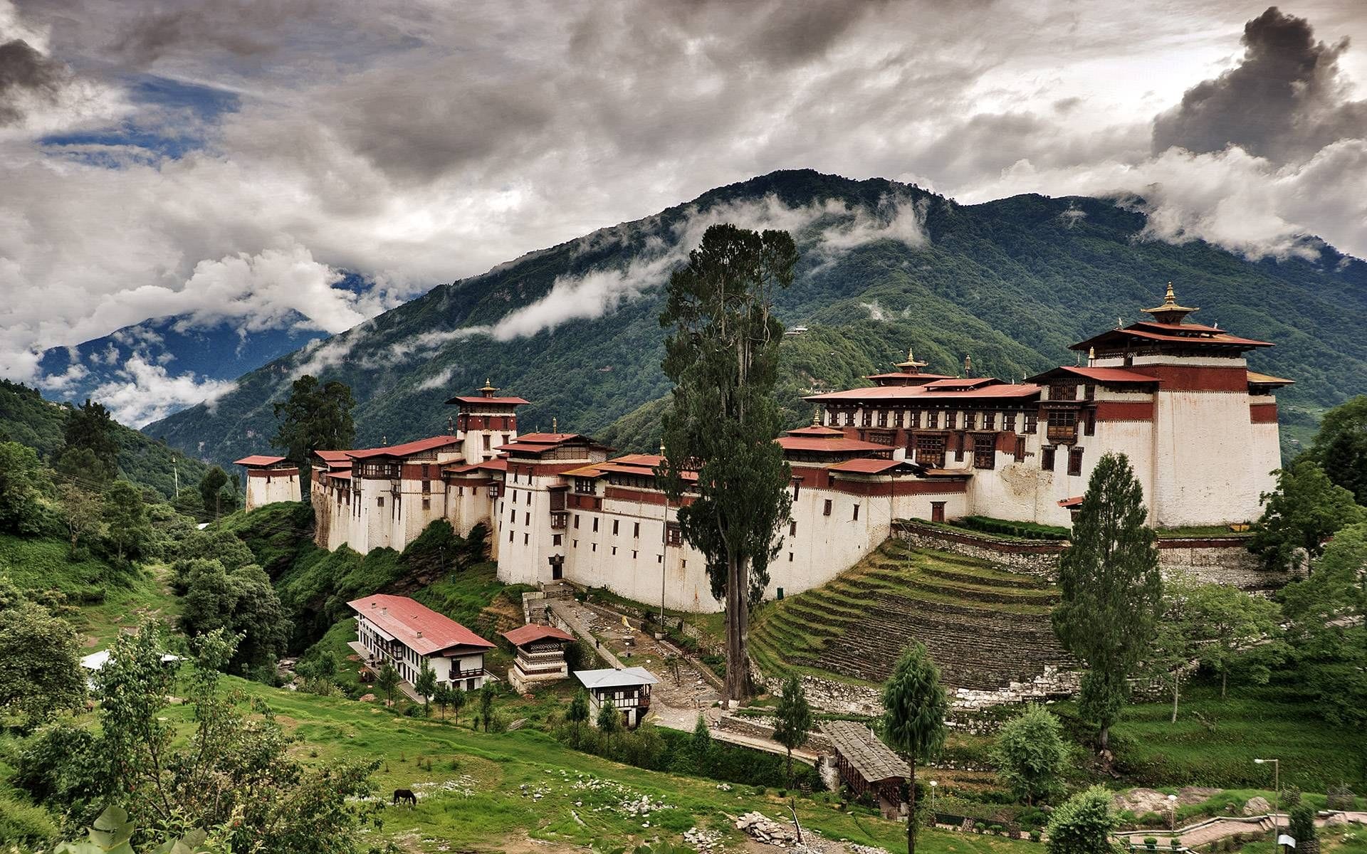 Enchanting Bhutan Journey: Thimphu, Punakha & Paro