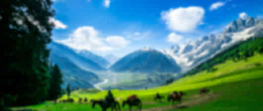 Grand Kashmir Journey