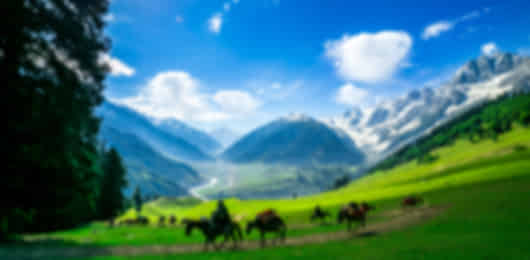 Grand Kashmir Journey
