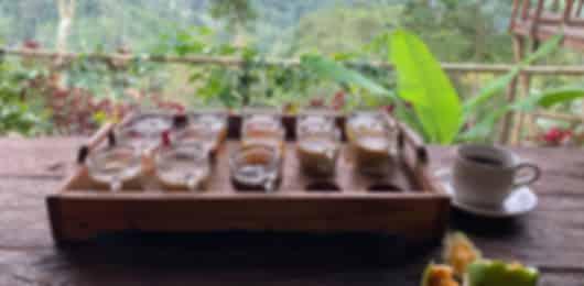 Bali with Kids: Wildlife, Nature & Beaches